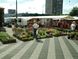 2592x1944 comparison review KG920 n73 n93 k800i LG kg920 12