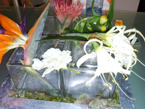 2592x1944 slumpmässig 05