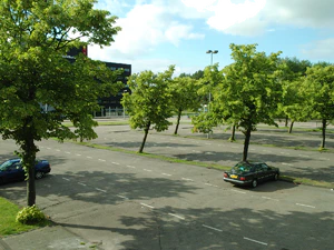 2592x1944 slumpmässig 08