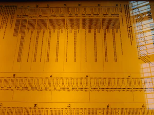 2592x1944 slumpmässig 13