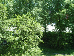 2592x1944 slumpmässig 17