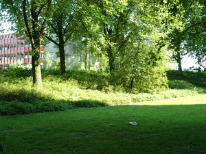 2592x1944 slumpmässig 18