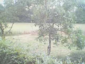 320x240 voorkant cam 03