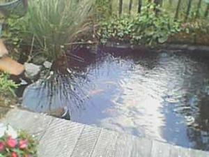 320x240 voorkant cam 04