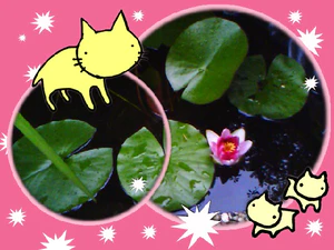 320x240 picturetheme 5