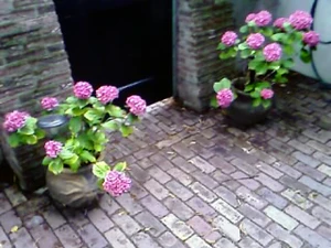 320x240 size