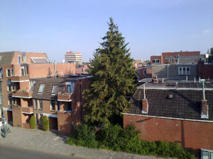 3264x2448 daglicht 2