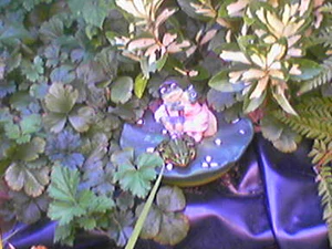 384x288 hoogwaardig 3xzoom