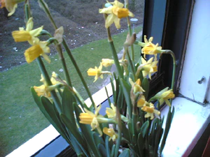 640x480 achterkant binnen