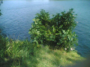 640x480 basic buiten 01