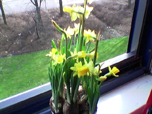 640x480 binnen nacht 01