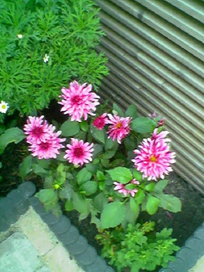 640x480 buiten hogekwaliteit 1xzoom