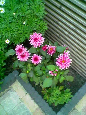 640x480 buiten laagkwaliteit