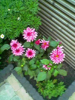 640x480 buiten laagkwaliteit 1xzoom