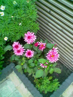 640x480 buiten normaalkwaliteit