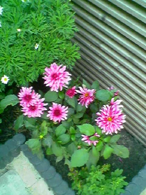 640x480 buiten normaalkwaliteit 1xzoom