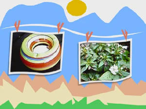640x480 frame 01