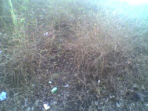 640x480 copertina frontale