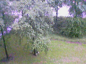 640x480 voorkant cam 01