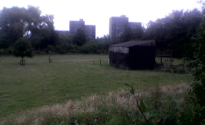 640x480 hoog nacht buiten