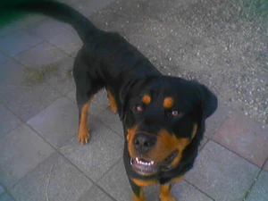 640x480 hoogwaardig dag