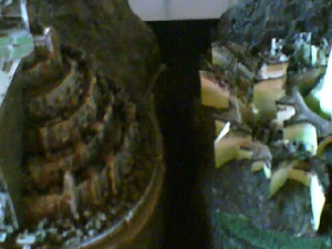 640x480 groot 1xzoom