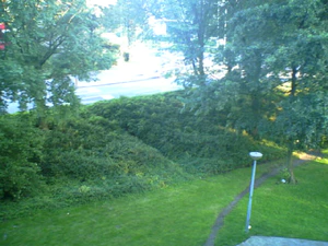 640x480 groot best auto