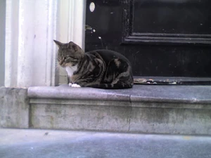 640x480 aléatoire 24