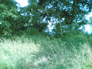 640x480 nachtmodus basic buiten 01