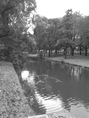 960x1280 effect zwart wit