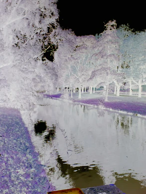 960x1280 effect negative