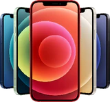 Apple iPhone 12 färger Översikt