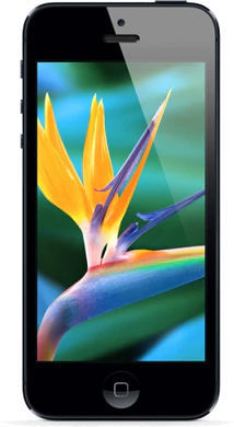 Apple iPhone 5 voorkant retina