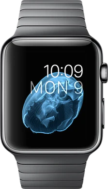 Apple Watch space zwart stainless link