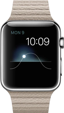 Apple Watch stainless stone leather