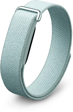 Fitbit Air green