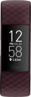 Fitbit Charge 4 Palissander