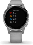 Garmin vivoactive 4s Silver Grey
