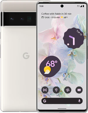 Google Pixel 6 Pro wit overzicht