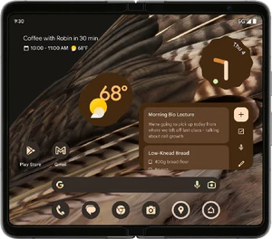 Google Pixel Fold schwarz innerhalb