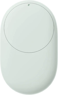 Google Pixel Tag zilver groen achterkant