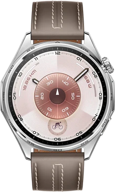 Huawei Watch GT 6 46mm silver brown