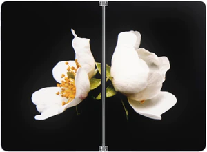 Microsoft Surface Duo voorkant geopend