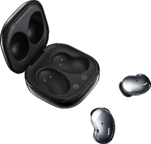 Samsung Galaxy Buds Live black case overview