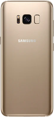 Samsung Galaxy S8 back gold