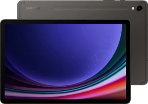 Samsung Galaxy Tab S9 grå oversigt