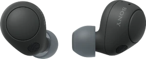 Sony WF C700N zwart