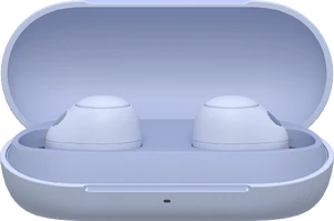 Sony WF C700N case voorkant geopend