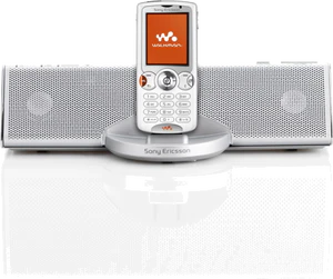 w810 Home Audio System wit