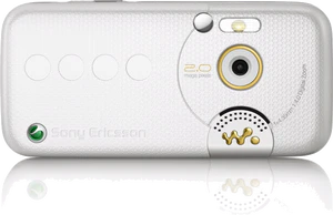 W850 baksida straight guld en vit